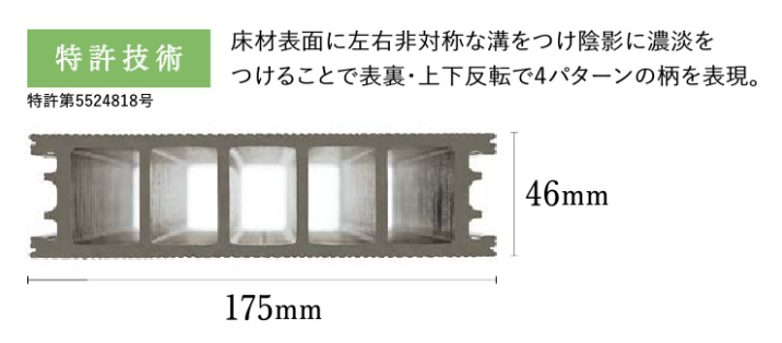樹ら楽木調3