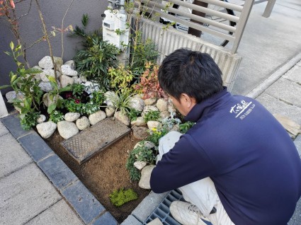 姫路門廻り植栽 姫路門廻り植栽