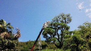 14111649367811-300x1682