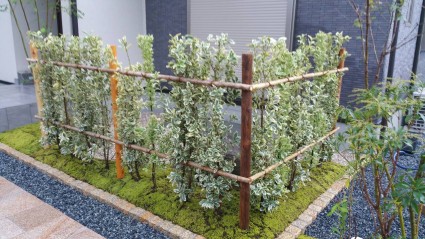 1443682029374 1443682029374