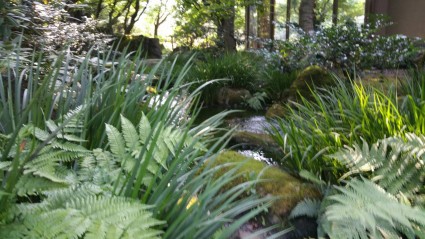 1445481279951 1445481279951