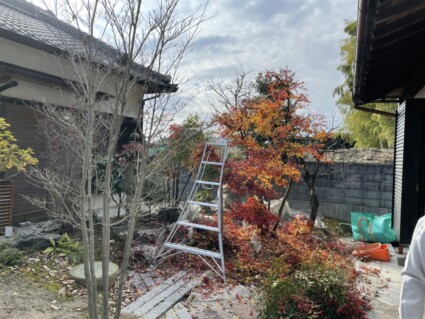 庭木の剪定 庭木の剪定