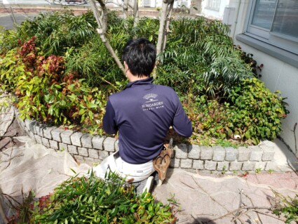植木のお手入れ 植木のお手入れ
