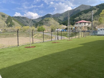 ハナミズキ植栽工事 ハナミズキ植栽工事