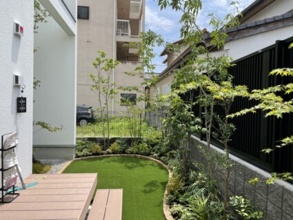 庭木の剪定 庭木の剪定