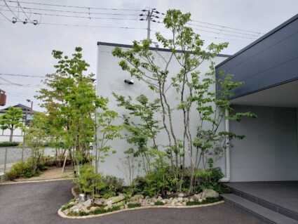 姫路市の雑木の剪定 姫路市の雑木の剪定