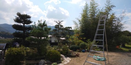 サンガーデン剪定作業 サンガーデン剪定作業