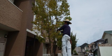 姫路市マンションの剪定作業 姫路市マンションの剪定作業