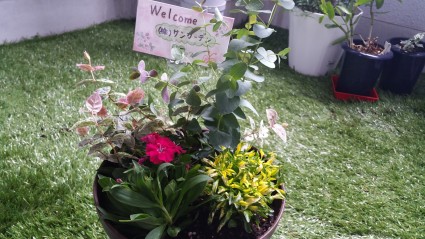 20150820_151732 20150820_151732