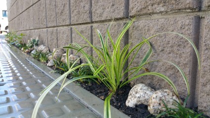 20150824_095345 20150824_095345