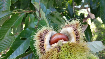 20150913_111639 20150913_111639