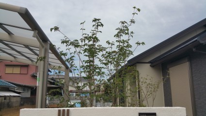 20150930_102827 20150930_102827