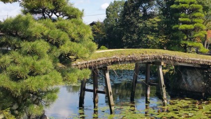 20151004_115130 20151004_115130