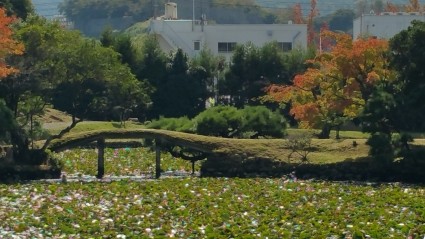 20151004_121053 20151004_1210531