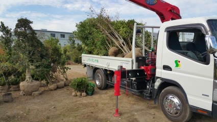 20151015_134716 20151015_1347161