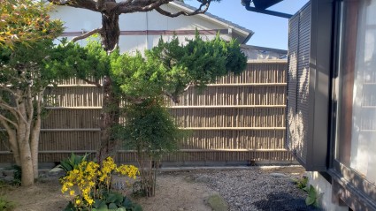 和室横ブロック塀に目隠し竹垣 和室横ブロック塀に目隠し竹垣