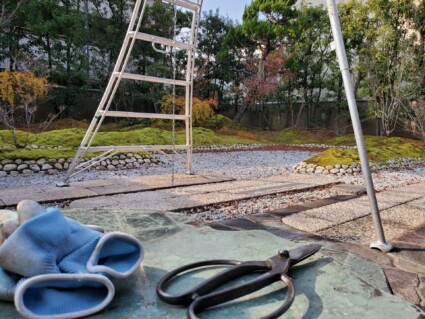庭木の剪定 庭木の剪定