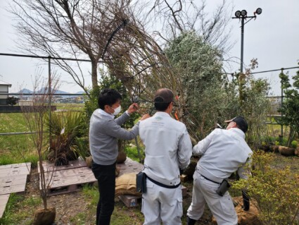 植木の材料 植木の材料