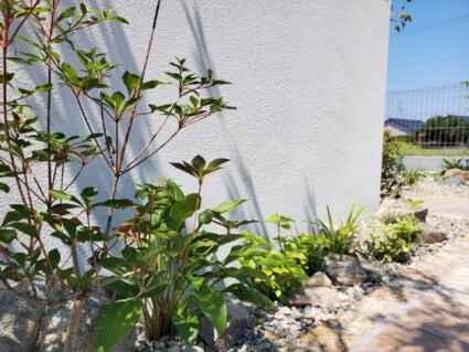 姫路市ガーデン 姫路市ガーデン