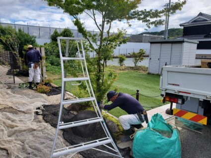 姫路市庭木の剪定 姫路市庭木の剪定