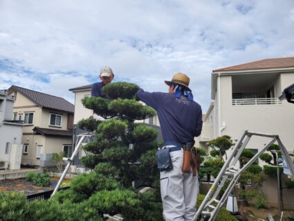庭木の剪定 庭木の剪定