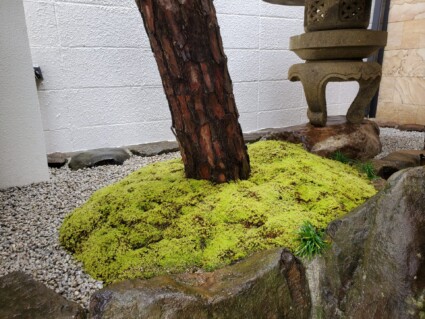 姫路市スナゴケ工事 姫路市スナゴケ工事