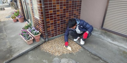 玄関前の雑草の庭リフォーム 玄関前の雑草の庭リフォーム