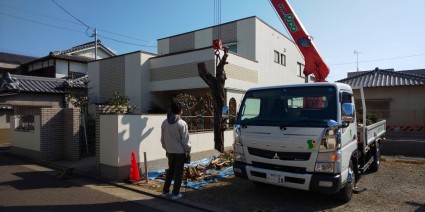 姫路庭木の伐採 姫路庭木の伐採