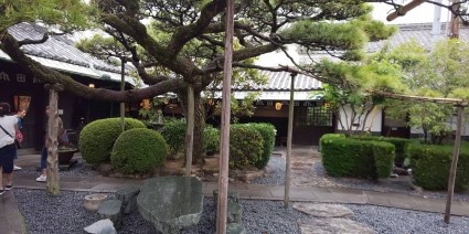 サンガーデンスタッフブログ サンガーデンスタッフブログ