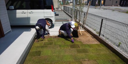 芝生の庭づくり 芝生の庭づくり
