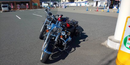 サンガーデンブログ サンガーデンブログ