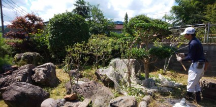 庭木の散髪・庭木の剪定 庭木の散髪・庭木の剪定