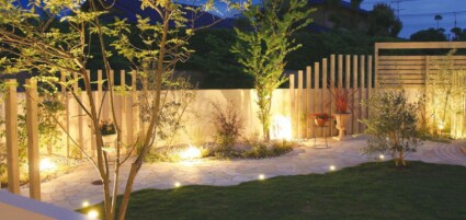 枯れかけのハナミズキをヤマボウシに植え替え6 枯れかけのハナミズキをヤマボウシに植え替え