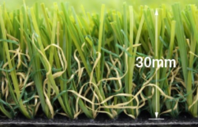 CLOVER-TURF2