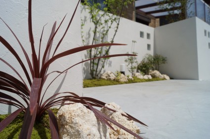 DSC067001-column2 DSC067001-column21