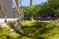 DSC08482-column4 DSC08482-column41