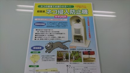 姫路庭|ネコ侵入防止対策のお庭 姫路庭|ネコ侵入防止対策のお庭