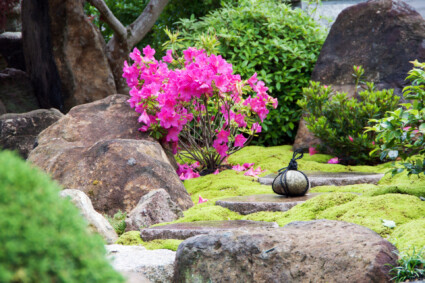 佐用町和庭リフォーム