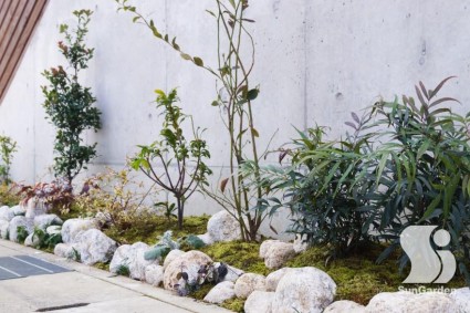 dsc00431e291a1-column1-overlay dsc00431e291a1-column1-overlay2