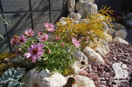 dsc01130-column1-overlay2